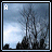 A static pixelated image of a dark tree silhouette against a cloudy sky with a small building fragment, labeled with a white letter in the top-left corner.