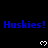 Blue text reading 'Huskies! Huskies! Huskies!' appears three times on a black background with white pixelated hearts below each line.