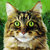 A pixelated close-up of a cat's face with green eyes, brown and black striped fur, and a white muzzle against a green background.