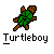 Pixelated turtle icon with green shell and brown limbs on gray background, below which is white text reading 'Turtleboy' in pixel font.