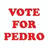 Red text 'VOTE FOR PEDRO' above cursive black text 'Napoleon Dynamite', next to a photo of two people in light-colored shirts.