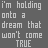 A 4x3 contact sheet of a pixelated animation showing repeated text "i'm holding onto a dream that won't come TRUE" with the word "TRUE" changing color across frames from white to red.