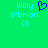 Green background with light blue text 'Willy O'Brien' and a blue heart symbol above a light blue '<3' symbol.