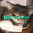 A cat with brown and black fur lies on a white surface, displaying text changes across four