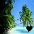 Two side-by-side beach scenes with palm trees and blue sky, one showing a black heart shape at the base of the tree, the other showing a white heart shape.