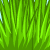 A 3x2 contact sheet of a pixelated animated frog character peeking from grass with red text overlay in some frames.