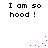 Pixelated text "I am so hood!" appears in four quadrants with pink pixel clusters animating around the corners.