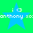 Blue star-shaped icon with white text 'i <3 anthony xoxo' on green background, repeated in four identical quadrants.