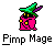 Pixel art character with green hat and pink robe, two versions showing different poses beneath text.