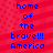 Red background with blue pixelated text reading 'home of the brave!!! America' repeated twice in a vertical