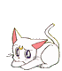 Four static views of a white cartoon cat with pink inner ears, a golden crescent on its forehead, and a yellow-tipped tail, arranged in a on a gray background