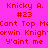 Pixelated text displays 'Knicky A. #23' and 'Cant Top Mcarwin Knight Yaint me' across four colored quadrants with red lettering.