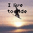 A pixelated image of a snowboarder mid-air against a sunset sky with text overlays.