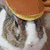 A two- meme-style image with a bunny and moose, each paired with text about giving pancakes or muffins
