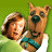 A 4-frame contact sheet of a Scooby-Doo animated buddy icon showing character poses and text elements across green, blue, and gray backgrounds.