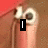 A four- shows a finger with two toes on the top of it, each displaying different text overlays