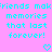 Pixelated cyan text on pink background repeats 'friends mak:riends mak memories that last forever!' with two heart symbols below.