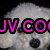A pixelated dog face with pink text overlays showing 'JV COO' and 'CUTE!' across different frames, set against a black background.