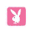 Three square icons with bunny silhouettes in pink and blue backgrounds, each paired with 'play boy' text below.