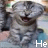 A pixelated cat with closed eyes and a wide open mouth appears in six arranged in two of three, each displaying the same static image