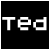 Pixelated text 'Ted Fan' on black background above a pixelated portrait of a man with long hair and mustache on light gray background.