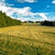 Six landscape scenes arranged in a , with green text overlays reading 'kristy' and '145' on select