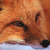 Pixelated fox head with orange-brown fur, dark eyes, and a black nose against an orange gradient background.