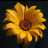 Static pixelated image of a sunflower with yellow petals and brown center on dark background, rendered in low-resolution style typical of early internet buddy icons.