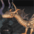 Animals icons for AIM, MSN, MySpace and Yahoo