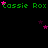 Green text reading 'Cassie Rox' repeats across a black background with scattered pink and purple stars, some of which shift position between frames.
