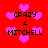 Red background with pink heart shapes and black text reading 'CRAZY 4 MITCHELL' in pixelated font.
