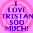Four identical pixelated text on a pink background with concentric circles, each displaying 'I LOVE TRISTAN SOO MUCH!' in purple block letters