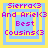 Four identical pixelated icons arranged in a , each displaying text about Sierra and Ariel as best cousins with a heart symbol