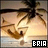 Animated icon shows a character with brown hair and closed eyes, wearing dark clothing against a light background with palm trees.
