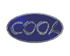 Blue oval icon with 'COOL' text in silver script, varying background textures and border styles across multiple views.