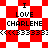 Pixelated red and white checkered background with text "I LOVE CHARLENE" and repeated symbols below, transitioning between two distinct patterns.
