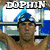 A pixelated animated icon shows a swimmer in a pool with text overlays reading DOPHIN, MAN, and FLIMFON.