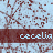 A static image with a light blue background patterned by red branching lines, overlaid with repeating dark brown horizontal bars containing the text 'cecilia' in white lowercase letters.
