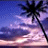Animated contact sheet of 16 frames showing a pixelated text sequence over a sunset beach background with palm trees, where each frame changes one letter in the phrase "I WOULD LIKE TO THANK YOU FOR SHOWING ME A PART OF MYSELF THAT I HAVE NEVER SEEN" and small white stars appear at the bottom.