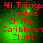 Red text on green background reads 'All Things Pirates Of The Caribbean Club!' with pixelated glow effects.