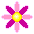 Two pixelated flower icons with yellow centers, pink and magenta petals on gray background.