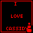Red pixelated text "I LOVE CASSIDY" on black background with red border, featuring a small red plus symbol and pixelated figure in bottom-right corner.