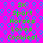 Bright pink background with repeating blue circular patterns and green text reading '5K Sport Horses Loves Cookies!' in a pixelated style.