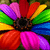 A pixelated flower with rainbow-colored petals arranged in a circular pattern, featuring red, orange, yellow, green, blue, purple, and pink hues.
