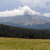 Static pixelated landscape with layered horizontal bands of blue sky, white clouds, dark green forest, and yellow-green grass under a hazy light.