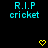 Black background with cyan text 'R.I.P cricket' repeated across multiple and yellow pixelated hearts scattered throughout
