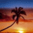 Pixelated sunset scene with palm tree silhouette against gradient sky and water, sun low on horizon.