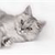 Pixelated grayscale image of a cat lying down with eyes closed, head turned slightly right, ears upright, and body partially cropped on left.
