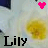 A 48x48 pixel animated buddy icon showing a white cat-like figure with yellow paws and a pink heart that changes to purple across two frames, labeled "Lily" at the bottom.