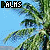 Animated sequence of palm tree branches against a blue sky with pixelated text reading 'PALMS' in the top-left corner.